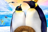 Adventures of the Penguin King Trailer