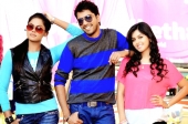 Brother of Bommali Movie Theartical Trailer