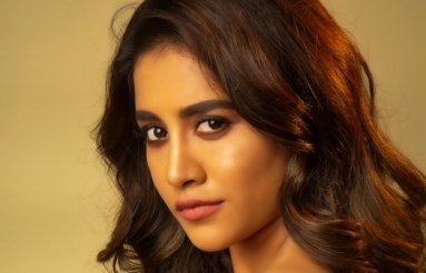Actress-Nabha-Natesh-Stills-04