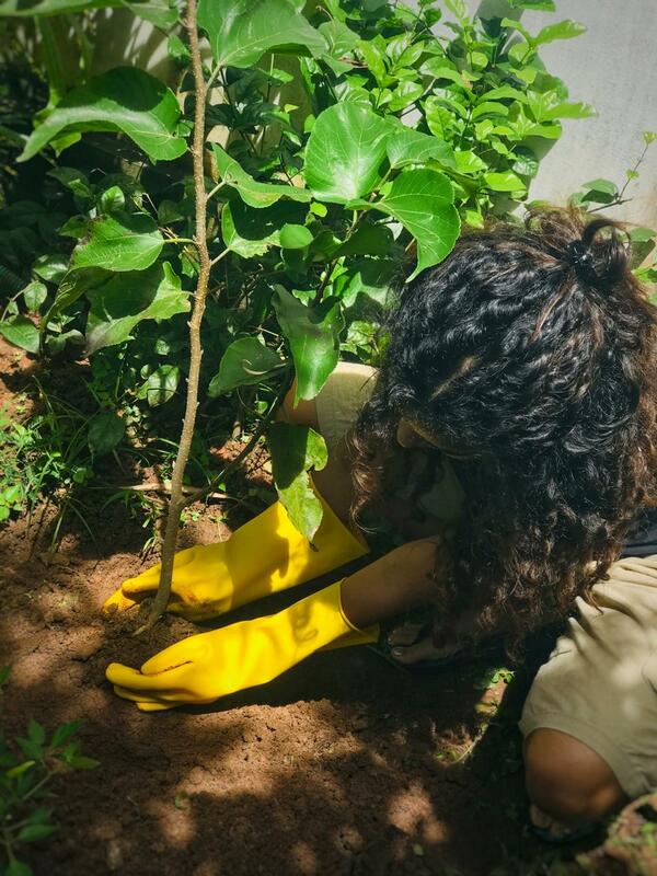 Anupama Planting Tree