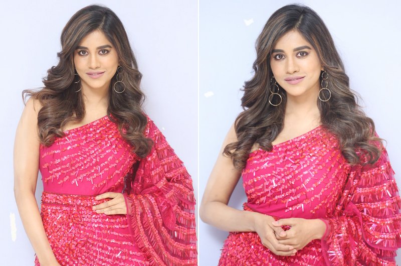 Nabha Natesh Latest stills