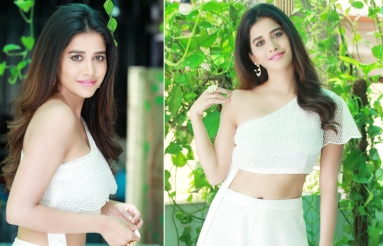 Nabha Natesh New PhotoShoot