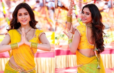 Nabha Natesh photos