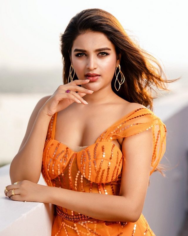 Nidhhi Agerwal Latest Photoshoot