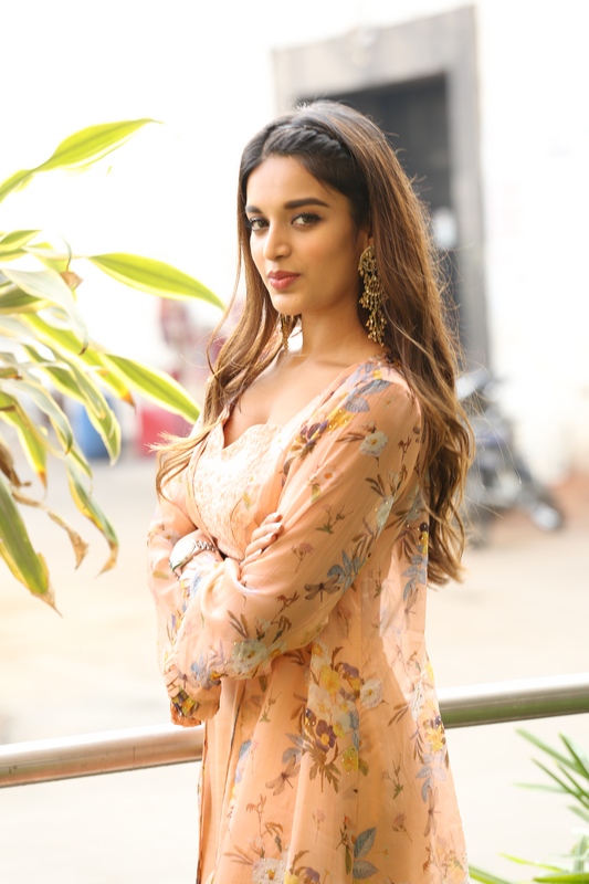 Nidhhi Agerwal Latest Stills