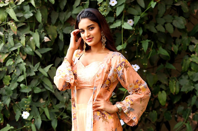 Nidhhi-Agerwal-Latest-Stills-10