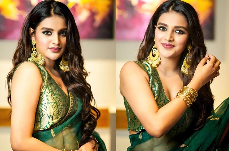 Nidhhi-Agerwal-New-Photoshoot-05