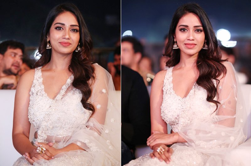 Nivetha Pethuraj Photos