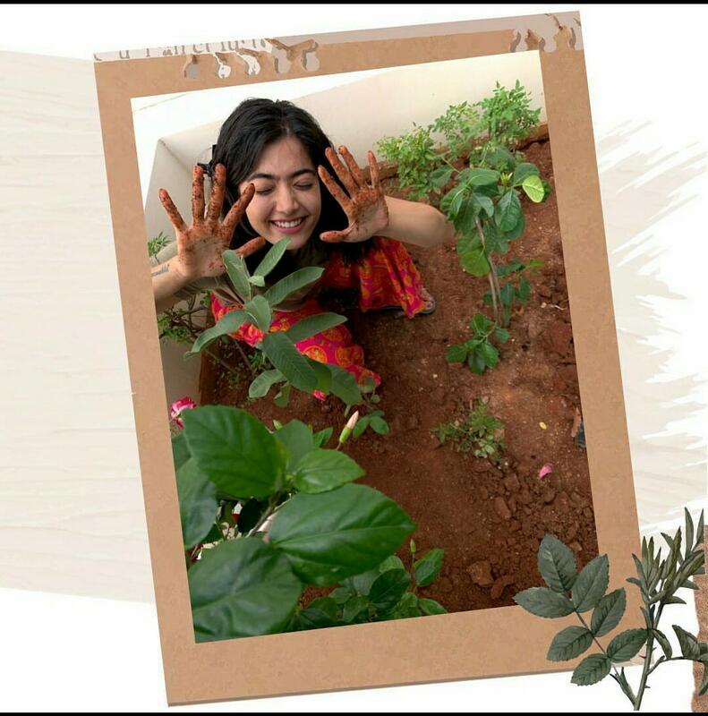 Rashmika Green India Challenge Photos | Photo 6of 7 | Rashmika-Green-India-Challenge-Photos-06 | Rashmika Green India Challenge Photos