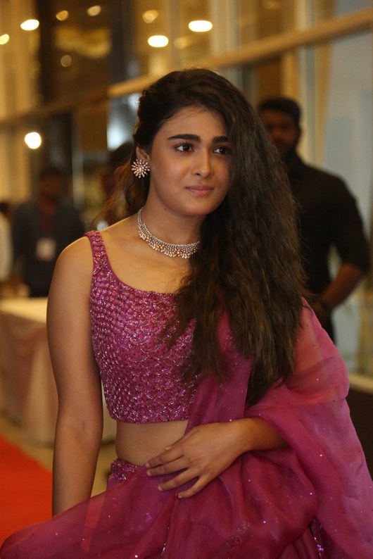 Shalini Pandey Latest Photos