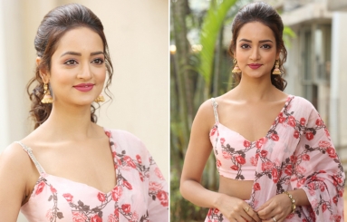 Shanvi Srivastava Latest Pics