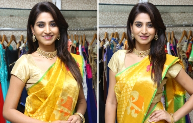 Varshini Sounderajan Stills