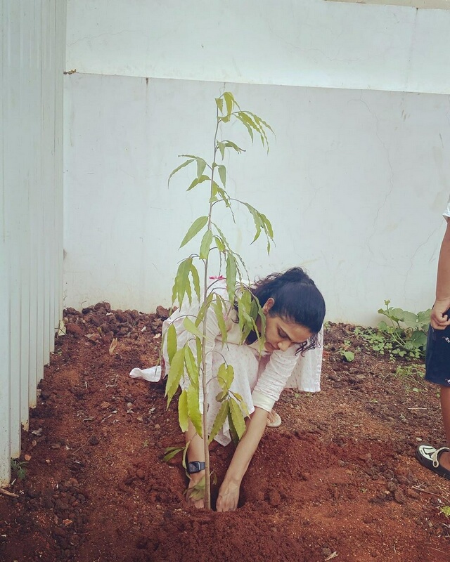 Allu Arjun's Wife Sneha Reddy Planting Tree
