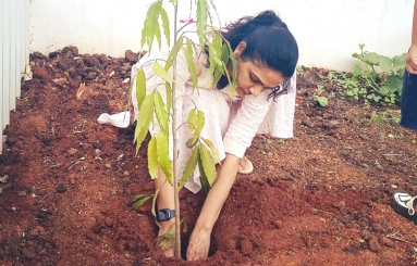 Allu-Arjun-Wife-Sneha-Reddy-Planting-Tree-01