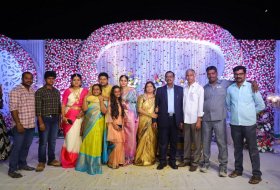 Koushik-Wedding-Reception-Photos-06