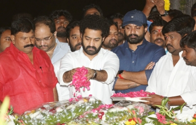 NTR and Kalyan Ram Visit NTR Ghat