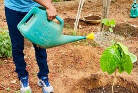 Sampath-Nandi-Green-India-Challenge-03