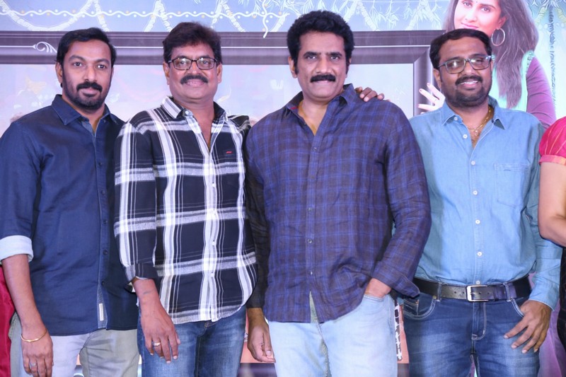 Ammammagarillu Movie Success Meet