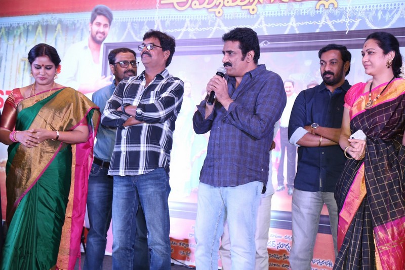 Ammammagarillu Movie Success Meet