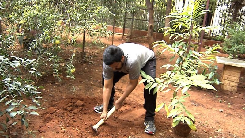 Chiranjeevi-Participates-Haritha-Haram-03