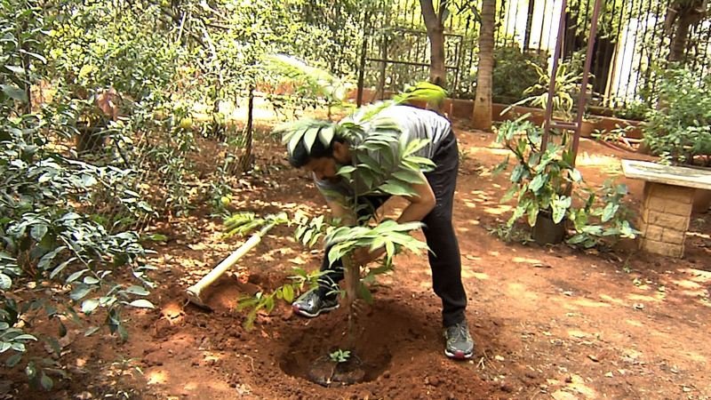 Chiranjeevi-Participates-Haritha-Haram-04