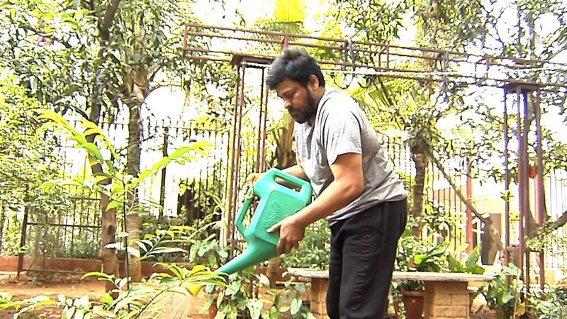 Chiranjeevi-Participates-Haritha-Haram-05