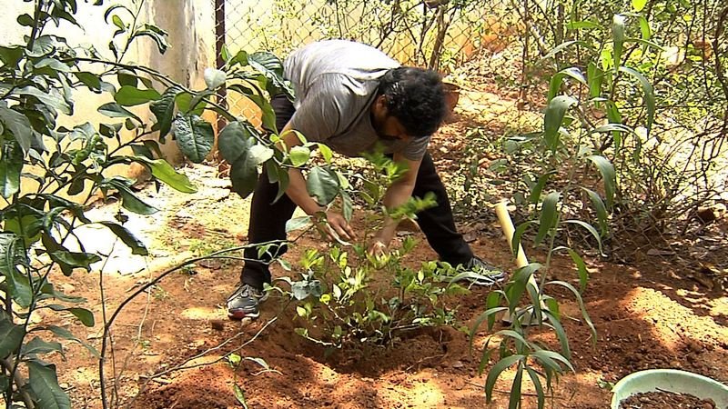 Chiranjeevi-Participates-Haritha-Haram-08