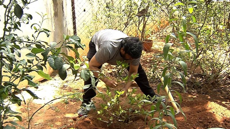 Chiranjeevi-Participates-Haritha-Haram-09