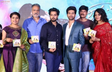 Crazy-Crazy-Feeling-Movie-Audio-Launch-Photos-12