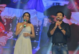 Geetha-Govindam-Pre-Release-Event-Photos-08