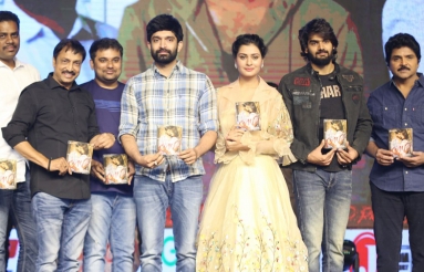 RX-100-Movie-Audio-Launch-10