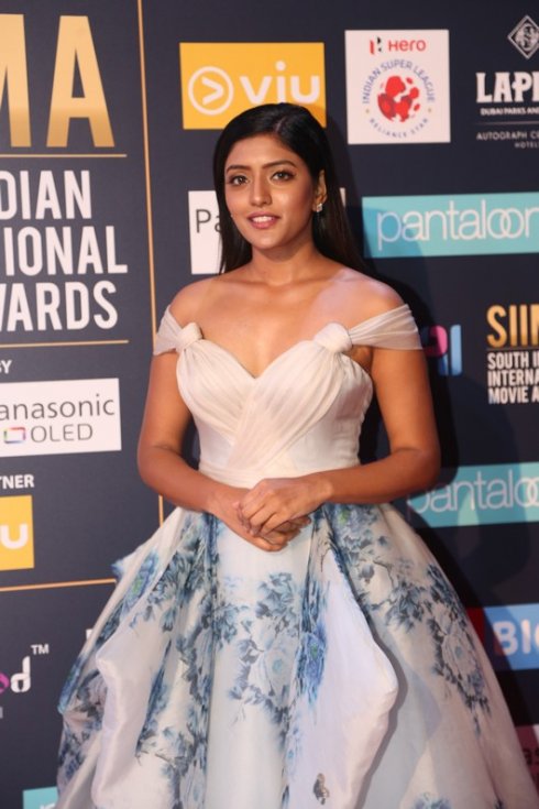 SIIMA-Awards-2018-Red-Carpet-Photos-17