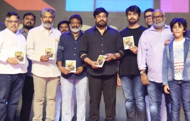 Vijetha Movie Audio Launch Photos