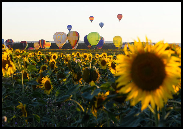 Air Balloon Festival