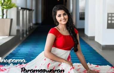 Anupama-Parameswaran-Wallpapers-02