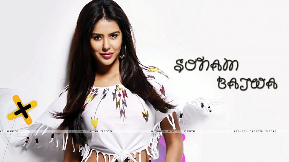 Sonam-Bajwa-New-Wallpapers-03