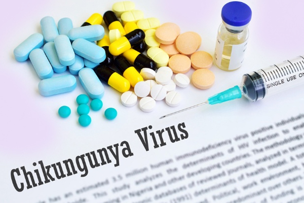 Chikungunya Vaccine