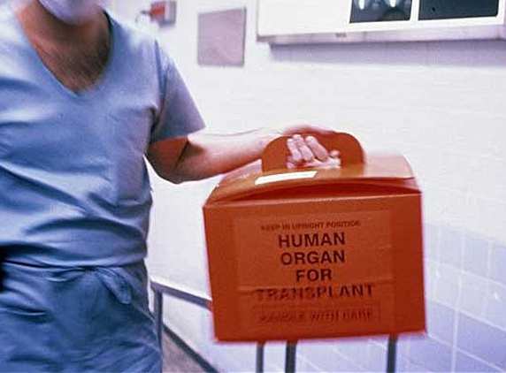 Цена человеческих органов
