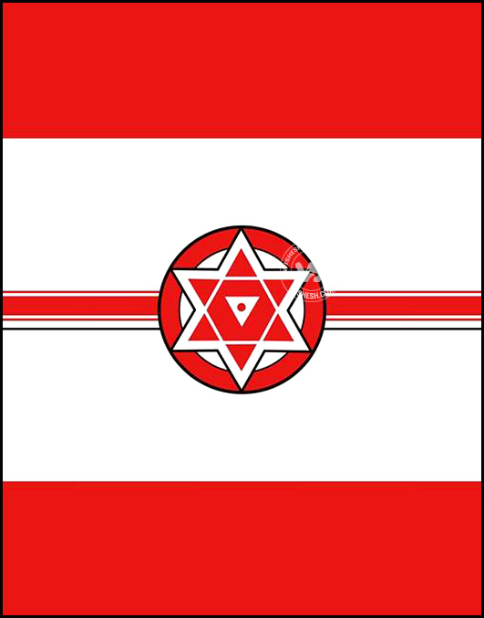 Pawan-Kalyan-Partys-flag