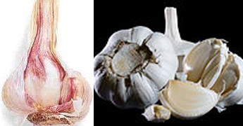 To keep Diabetes  2 away take few raw garlic pearls daily