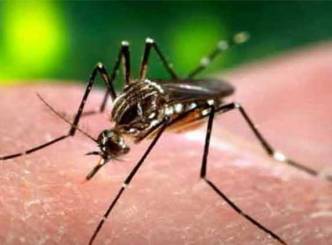 Dengue claims two more lives, total 9 dead