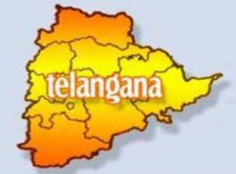 One more student commits suicide over Telangana