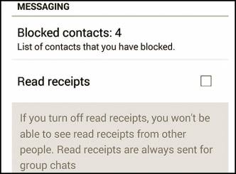 Support to hide WhatsApp blue ticks