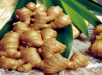Pirating Indian Ginger patenting, thwarted by alert authorities