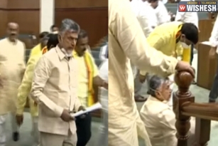 Ruckus in AP Assembly: TDP Walks Out