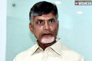 Chandra Babu Gets A Temporary Relief From Maharastra Court