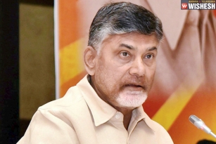 Chandra Babu Hints About Early Elections