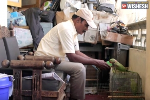 The Bird Man: Pride of Chennai