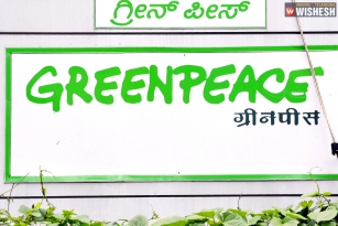 Greenpeace alleged for coverup of rape and sexual assault