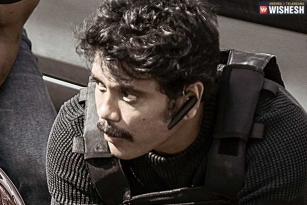 Nagarjuna&#039;s Wild Dog Rights Sold for a Record Price